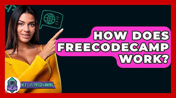 How Does FreeCodeCamp Work? - Next LVL Programming
