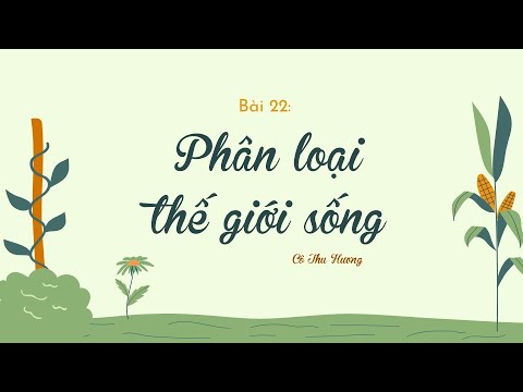 Video Bài 22. PHÂN LOẠI THẾ GIỚI SỐNG (phần 3) - Khoa học tự... - YouTube