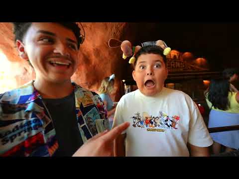 I Went To DISNEYLAND With My Family Chaotic Party Of 6 