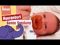 Wir Kriegen Ein Geschwisterchen Der Elefant WDR