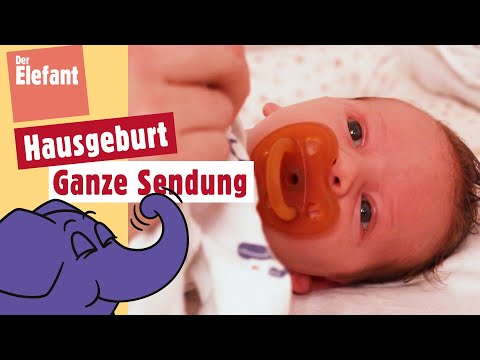 Video: Wie viel wiegt ein Elefantenbaby bei der Geburt: Wissenswertes über Elefanten, ungefähres Gewicht pro Monat