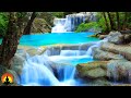 🔴 Study Music 24/7, Focus, Meditation, Concentration Music, Relaxing Music, Calm Music, Yoga, Study