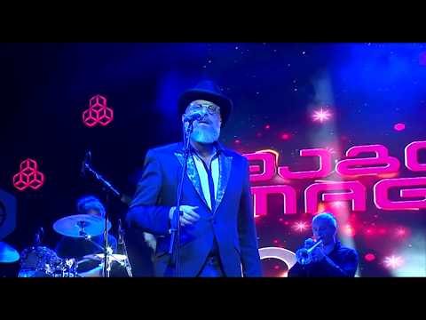 საქართველოს იტალიელი მუსიკოსი მარიო ბიონდი ეწვია