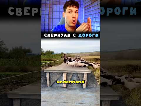 👁️ ЭТА ИЛЛЮЗИЯ ПУГАЕТ ДАЖЕ ОВЕЦ!