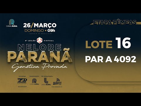 LOTE 16 PAR A4092