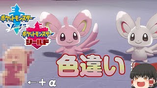 ポケモン剣盾 名付けで事故発生 色違いチラーミィ A ゆっくり実況 色違い 13 Youtube