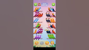 #bird #sort #level 463