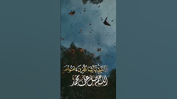إن الله وملائكته يصلون على النبي.  #ماهر_المعيقلي #صلوا_على_النبي #ريحانة_قرآن #قرآن #تلاوة_خاشعة