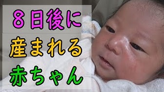 出産ドラマ Youtube