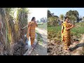 Punjab Village Life💙Aloo Gazar Recipe💙 Rural life of Punjab/India