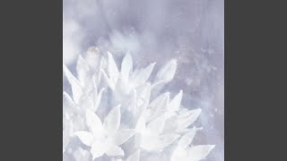 When the Sun Is a Stranger