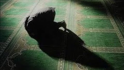الله يعلم ما تحمل كل أنثى وما تغيض الأرحام #سورة الرعد#قرآن كريم#ازرع بطفلك#سعد الغامدي