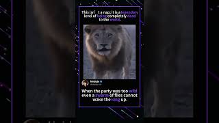 Bro Tried It Instant Regret Animal Edition #animals #fail #instantregret