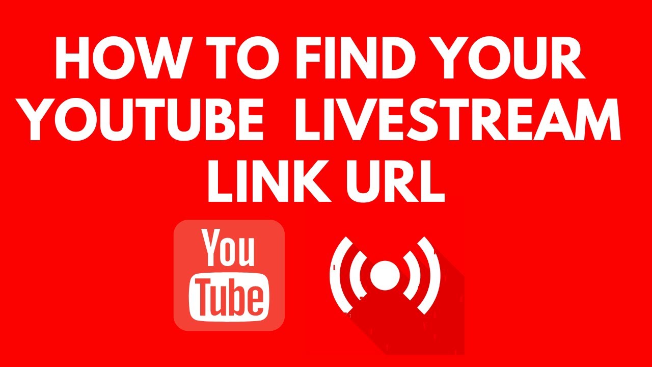 How to find YouTube live stream link URL #youtube #livestream