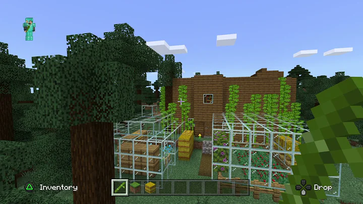 Best house!!!!!!!!