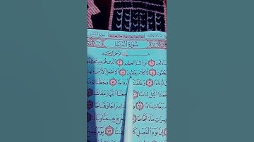سورة النبأ عم يتساءلون...الشيخ علاء عقل