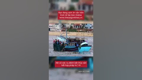 Sẽ xử phạt nghiêm những cá nhân liên quan đến khai thác thuỷ sản bất hợp pháp, không khai báo (IUU)