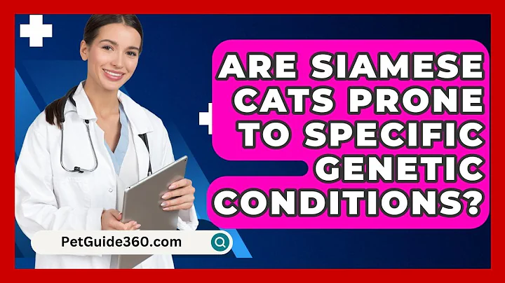 Are Siamese Cats Prone To Specific Genetic Conditions? - PetGuide360.com