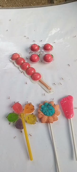 Ants get yupi and various fruit flavored lollipops #shorts