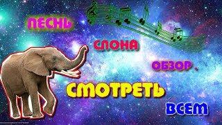 Песнь слона . Песнь слона .
