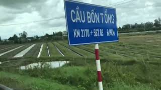 Banana Farm At Street In Vietnam