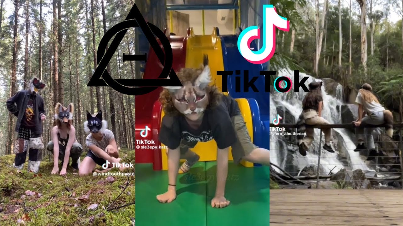 Therian TikTok Compilation 