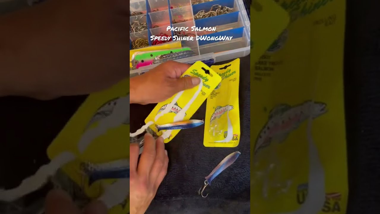 Speedy Shiner Lure for Trout and Salmon Trolling 