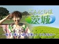 〜ひたちなか〜 こんにちは茨城#02　国営ひたち海浜公園　ほし芋　那珂湊おさかな市場