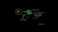 Kanser Hücrelerinin Biyolojisi ile ilgili video