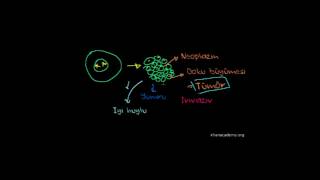 Kanser Biyoloji Hücreler