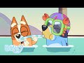 Les Meilleurs Moments De Bluey Une Célébration Bluey Français Chaîne Officielle 