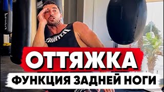 «ОТТЯЖКА» роль задней ноги