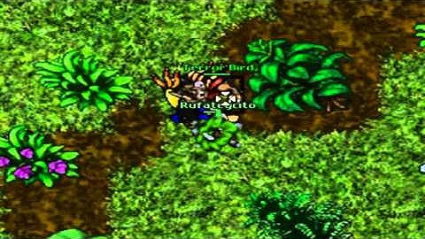(Tibia) - Mount Racing Bird!