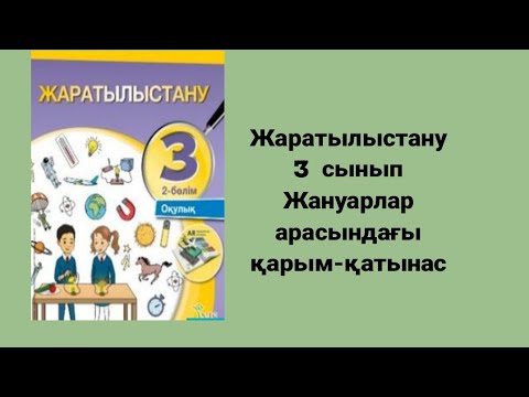 Ерлі-зайыптылар порно видеоларды ауыстырады Жыныстық көзбен қарау - қатыгездік