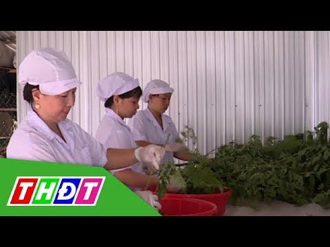 Video: Khảm Quả Dâu Tây