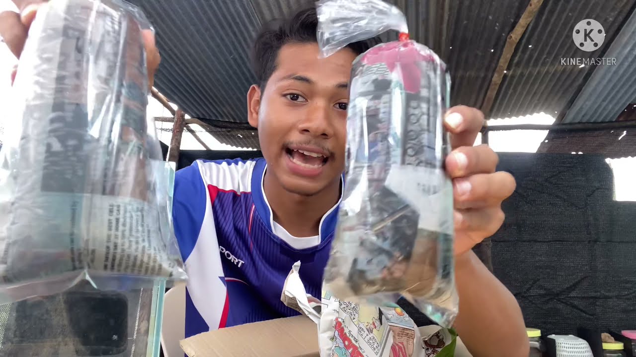 EP:1 แกะกล่องสุ่มปลากัด 1,xxx บาท #CHAYLEKBETTA #ปลากัดชายเล็ก