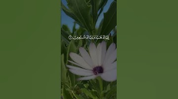 سورة الفاتحة #قرآن #اكسبلور