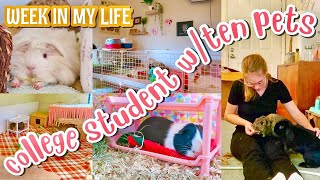 WEEK IN MY LIFE AS A COLLEGE STUDENT WITH 10 PETS 💕🐰