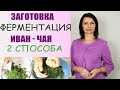 Заготовка и ферментация, сушка  ИВАН - ЧАЯ в домашних условиях (2 способа).Как Сушить кипрей?