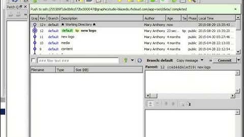 Openshift + Mercurial HG Workbench