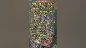 Kinh nghiệm câu cá Rô Phi cho người mới bắt đầu. #shots #caucagiaitri