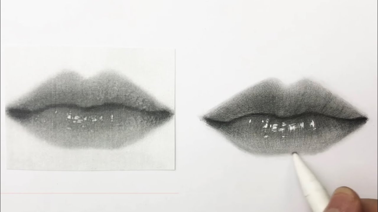 Vẽ Môi Như Thật | Dựng Từ Hình Mẫu | How To Draw Lips ✨💕 - Youtube