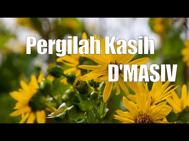 D'Masiv - Pergilah Kasih (lirik) class=