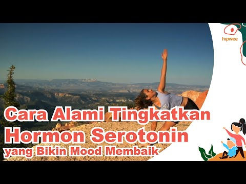 Video: Cara Meningkatkan Serotonin: 5 Cara Untuk Meningkatkan Tingkat Serotonin Secara Alami