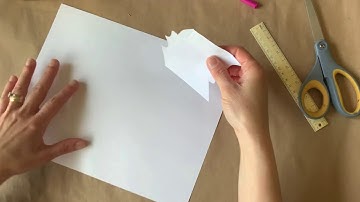 Translation Tessellation