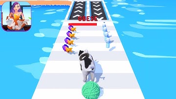 PET TRAINER! game MAX LEVEL RECORD 🌈👸💕 Gameplay All Levels Walkthrough iOS Android New Game Pro 3D