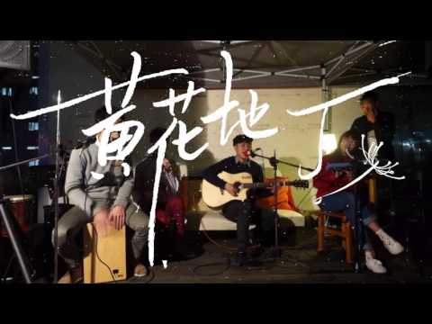 黃花地丁 Dandelion   2016 不插電演唱會 60'' CF