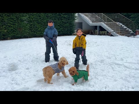Ali Uras ve Ömer Kayra ile köpeklerle kar vlog.!!!