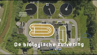 Hoe Wordt Afvalwater Gezuiverd? Stap 2 De Biologische Zuivering