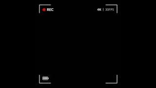 Mario Dead massage (ringtone)